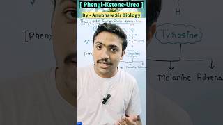 Phenyl Ketone Urea l biology pku inheritance disorders neet neet2025 chemistry mcq [upl. by Solana58]