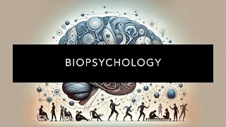 Understanding Biopsychology [upl. by Dame909]