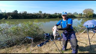 Medelana  Channel Catfish 4750 KG [upl. by Nnylyahs]