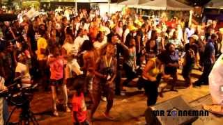 Barbados Live On Stage In Suriname at Carifesta XI [upl. by Dremann]