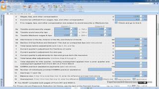 Tax Form 941  Line 7  Video [upl. by Enetsuj]