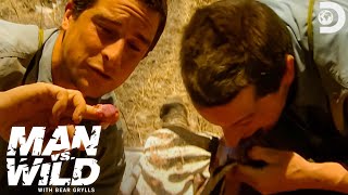 Bear Grylls Is Thrilled to Find Fresh Zebra Meat  Man vs Wild [upl. by Yruam602]