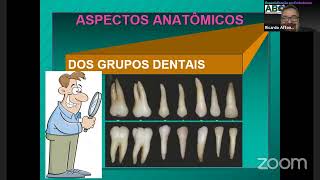 AULA Anatomia Cavidades Pulpares  Prof Dr Clovis Bramantes [upl. by Herminia892]