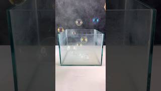 Agak syok dikit 🤏 bubble floating dryice experiment [upl. by Rosanna774]