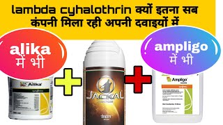 lambda cyhalothrin 49 csjackal dhanukaamplioALIKAमें क्यों मिलाया गया उसको [upl. by Silletram144]