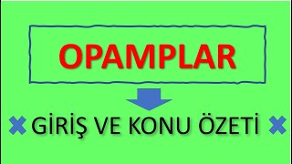 OPAMPLAR KONU Ã–ZETÄ° Ã‡ALIÅMA MANTIÄIGÃ–RSELÄ°PÄ°N DÄ°AGRAMISEMBOLÃœKULLANIM ALANLARIENTEGRESÄ° [upl. by Gersham]