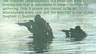 Kustjägarna  Swedish Coastal Rangers [upl. by Gnahc]