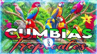 🔆CUMBIAS TROPICALES MIX 🦜VIEJITAS TROPICALES🎺ACAPULCO TROPICAL TROPICAL FLORIDA LOS KARKIS [upl. by Varion]