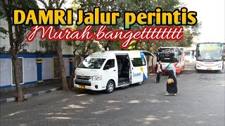 Ternyata segini tarif Damri tulungagung pacitan [upl. by Sheela798]