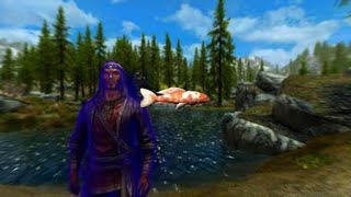 SKYRIM  CARP location walkthrough commentary [upl. by Aititel778]