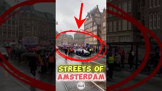 Streets of Amsterdam 🇳🇱 trending protest shortsvideo [upl. by Tebazile90]