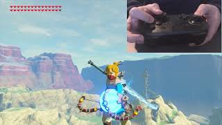 BLSS with handcam BUT BETTER  BotW [upl. by Marge]