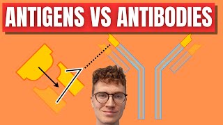 Antigens VS Antibodies Explained [upl. by Annia]