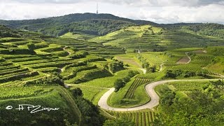 Kaiserstuhl im Sommer  Farben eines Jahres  Teil 2 [upl. by Enytsuj]