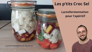 Lactofermentation pour lapéritif [upl. by Macario]