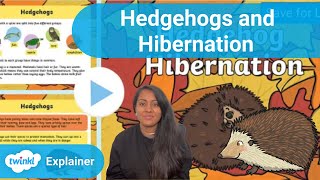 Hedgehogs and Hibernation Facts and Craft Activity [upl. by Gerstein863]