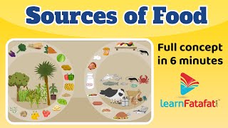 Sources of food  Class 6 Chapter 1 Food Where Does in Comes from   CBSE  LearnFatafat [upl. by Calabresi]