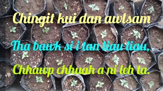 Chingit kui dan awlsam [upl. by Solnit]