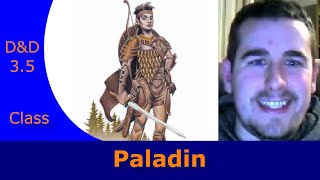 Are Paladins Any Good In DampD 35 [upl. by Elvyn506]