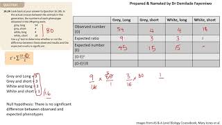 Chapter 164 How to do the Chisquared test [upl. by Nyar]