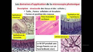 Cytologieبالعربية  2 Les méthodes détude de la cellule  Part 1 les microscopes photoniques [upl. by Ettinger145]