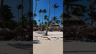 🇩🇴 Catalonia Bavaro Beach Punta Cana Dominican Rep 🌴playa bavaro bachata beachhotel resort [upl. by Viafore]