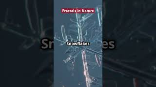 Fractals in nature fractal math maths mathinreallife mathinnature mathtrivia [upl. by Lenssen135]