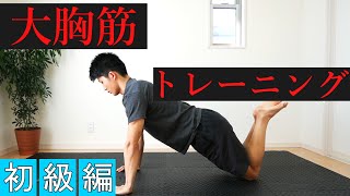 【初心者向け】1分30秒の大胸筋トレーニング！腕立て伏せができなくてもOK！ [upl. by Kamillah]