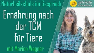 Ernährung nach der TCM für Tiere – Naturheilschule im Gespräch [upl. by Sherrie]