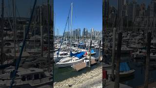 Vancouver cardio views canadavancouverbritishcolumbia cardiofitnessmotivation [upl. by Atiroc]