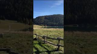 Autumn magic in 🇮🇹 italy shorts Valcamonica November [upl. by Anircam443]