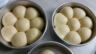 Dinner Rolls Easy TangZhong Dough [upl. by Desiree32]