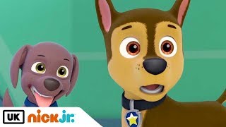 Paw Patrol  Sing Along Friendship Song  Nick Jr UK [upl. by Luo104]