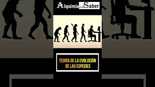 Teoría de la evolución de las especies  Alquimia del Saber  Sh58 prehistoria curiosidades [upl. by Zealand441]