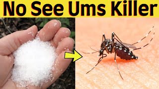 How to get rid of no see ums in yard and pool of the house [upl. by Iamhaj]