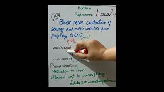 local anesthetic drugs mechanism of action [upl. by Ikey]