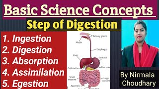 Step of Digestion  Ingestion Digestion  Absorption Assimilation  Egestion हिंदी में [upl. by Ezequiel817]