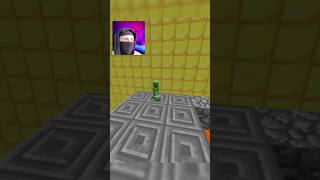 I help mini creeper minecraft shorts [upl. by Felic60]