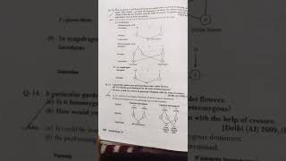 Genetic and Evolution Class 12 Biology Notes  Important questions class12 biology notes [upl. by Canning]