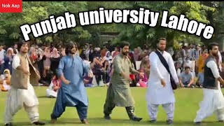 Balochi dance by Baloch council punjab university Lahore [upl. by Enniroc]