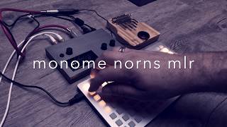 Monome Norns mlr [upl. by Wooldridge]