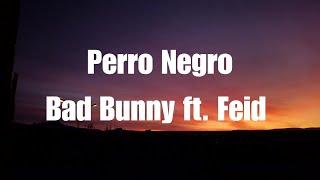 Bad Bunny  Perro Negro ft Feid LetraLyrics [upl. by Vesta713]