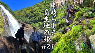 【素晴らしき自生地の旅 21】苔生す巨石を突き進み、辿り着いた先にあったものは？【本田高史／加田智志】 [upl. by Annwahsal]