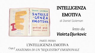 Cap2 INTELLIGENZA EMOTIVA di Daniel Goleman  audiolibro  letto ad alta voce [upl. by Yntruoc]