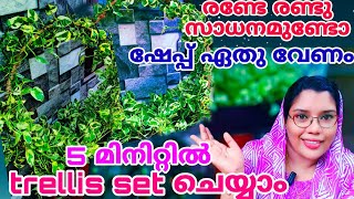 ഈ trellis idea പരീക്ഷിക്കൂ 5 മിനിറ്റിൽ അടിപൊളിയായി creeping plant set ചെയ്യാം trellis [upl. by Refotsirhc]