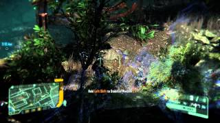 Crysis 3 Gameplay amp Campaign Tips [upl. by Nylessoj255]