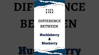 Difference Between Huckleberry and Blueberry  The Great Berry Breakdown Huckleberry vs Blueberry [upl. by Sherrard940]