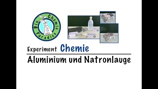 Experiment Chemie – Aluminium und Natronlauge [upl. by Llertac114]