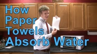 How Paper Towels Absorb Water  A Moment of Science  PBS [upl. by Llevra]