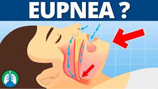 Eupnea Medical Definition  Quick Explainer Video [upl. by Walli]